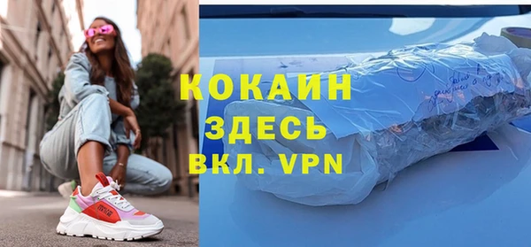 мет Алексин