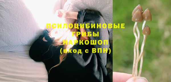 МДПВ Алзамай