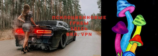 мет Алексин