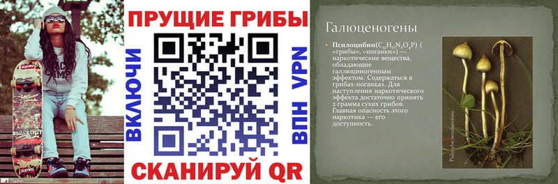 Псилоцибиновые грибы ЛСД  OMG рабочий сайт  Ковылкино 